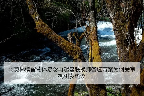 阿莫林续留葡体悬念再起曼联换帅备选方案为何受审视引发热议