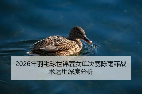 2026年羽毛球世锦赛女单决赛陈雨菲战术运用深度分析