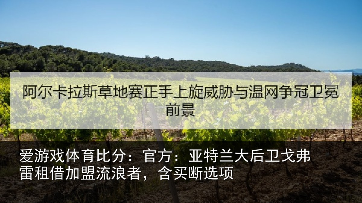 爱游戏体育比分：官方：亚特兰大后卫戈弗雷租借加盟流浪者，含买断选项